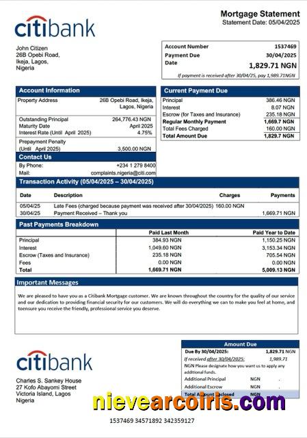 Nigeria Citibank mortgage statement Word and PDF template